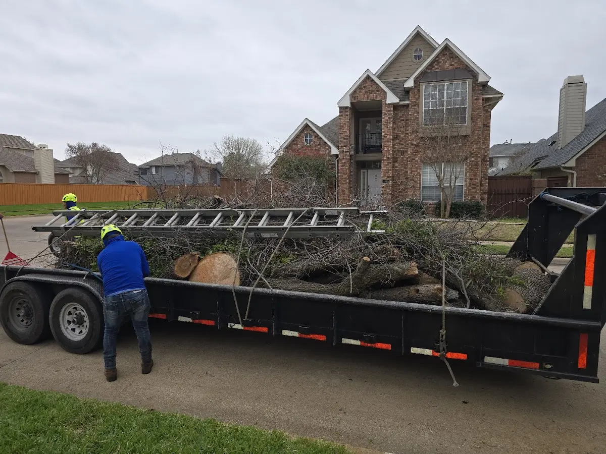 Expert Tree Fertilization with proper safety equipment in Peaks Island